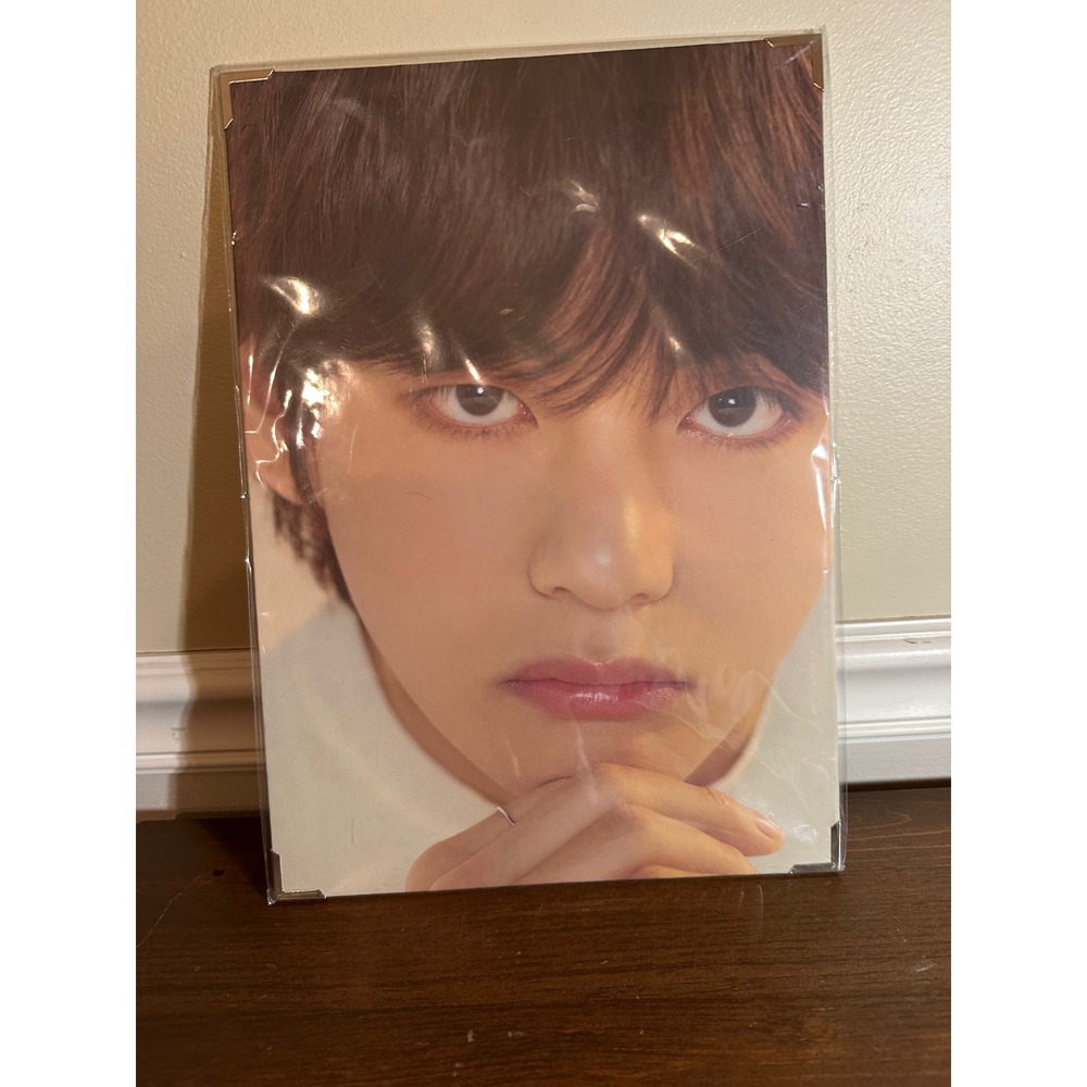 BTS V Taehyung Premium Photo Love Yourself Speak Yourself World Tour Official